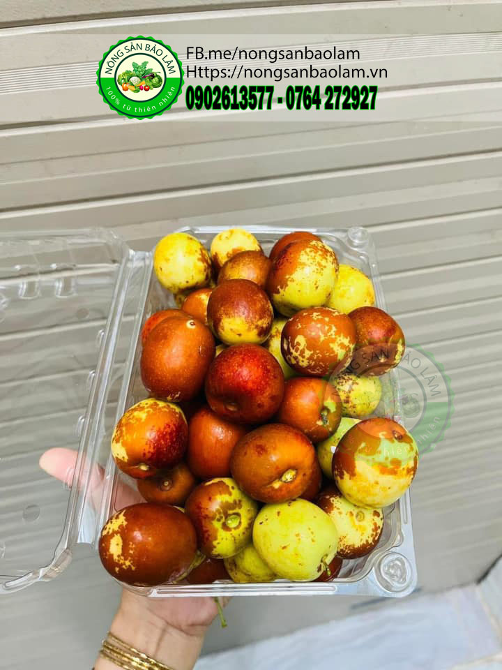 HỒNG TÁO TƯƠI - nongsanbaolam 4
