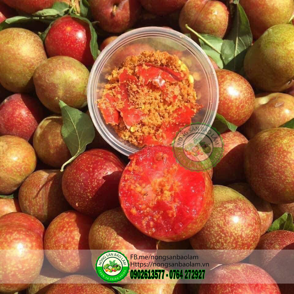 MẬN HẬU MỘC CHÂU - nongsanbaolam 5