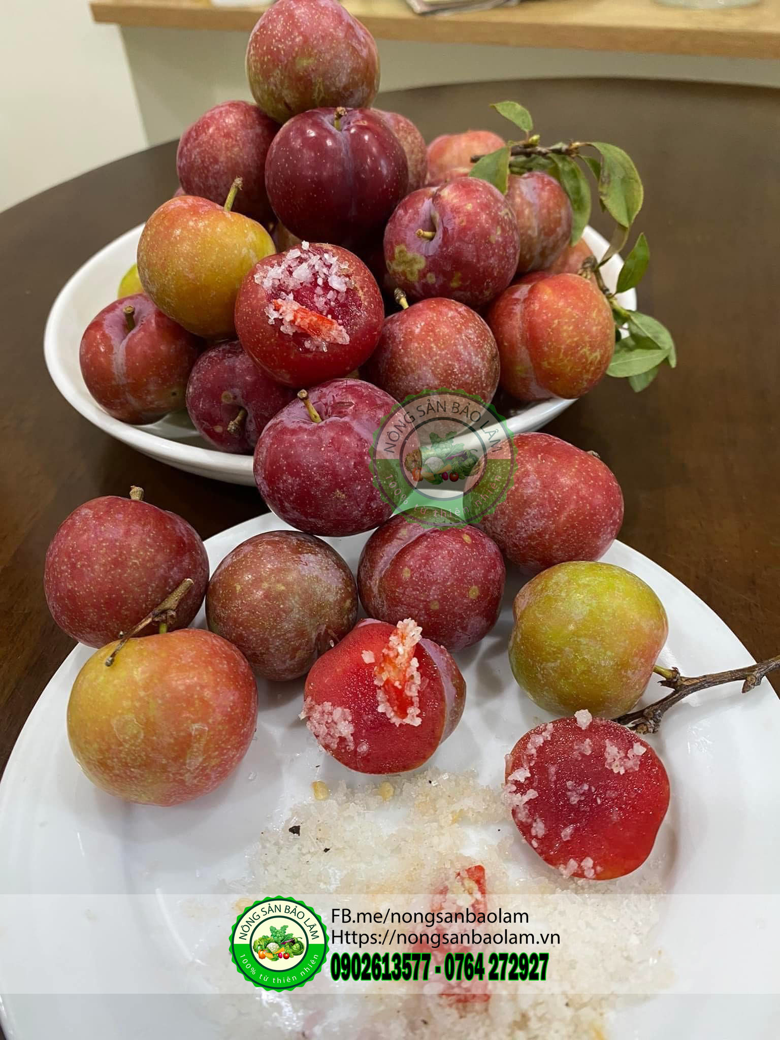 MẬN HẬU MỘC CHÂU - nongsanbaolam 6