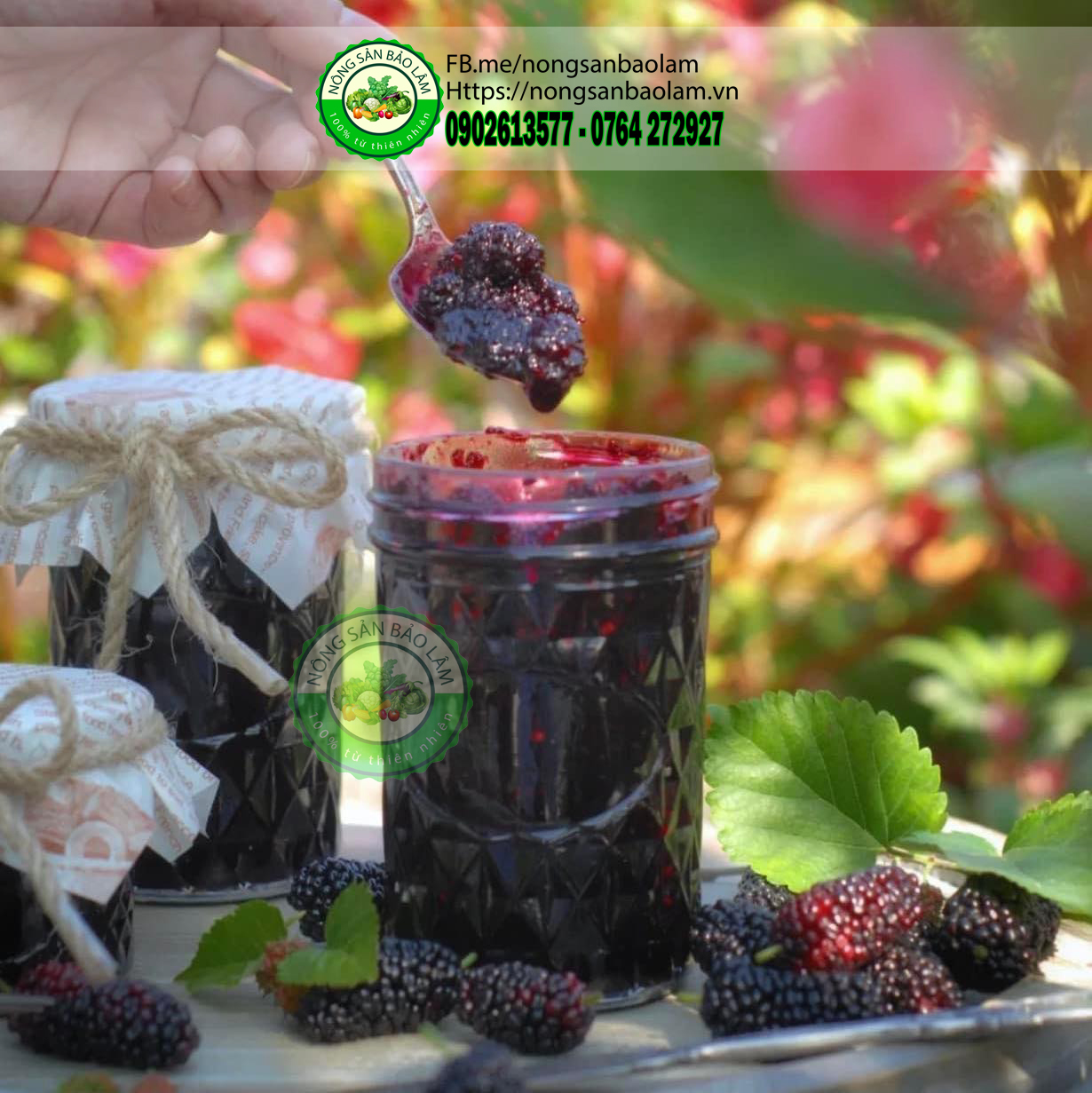 dâu tằm đà lạt - nongsanbaolam 234567 full