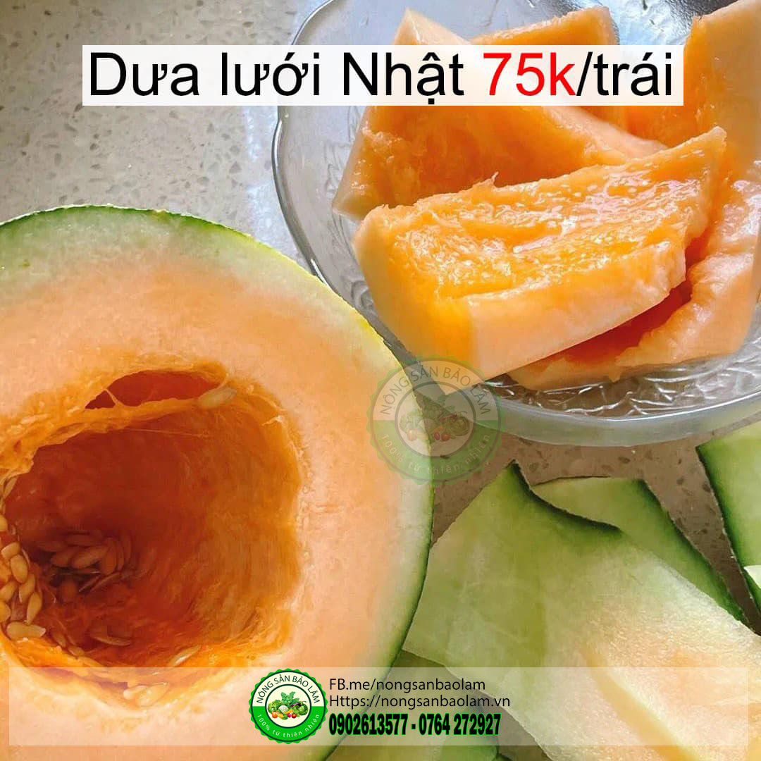 dưa lưới nhật - trái cây quận 10 hcm - nông sản bảo lâm Nông Sản Bảo Lâm, Trái Cây Quận 10 HCM, Trái Cây Sài Gòn, Trái Cây Xanh, Trái Cây Sạch, Trái Cây Xuất Khẩu, Trái Cây Nhập Khẩu, Trái Cây Theo Mùa, Trái Cây Vườn, Nông Sản Sạch, fruits, healthy food, Hàng Tiêu Dùng, Hải Sản Tươi Sống, Nho, Dâu, Táo, Lê, Sầu Riêng, Bưởi, Thơm, Dưa Hấu, Cherry, Cá, Hàu, Thịt Heo, Thịt Gà, Thịt Bò, Mẹ, Bé