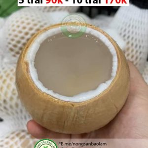 Nông Sản Bảo Lâm, Trái Cây Quận 10 HCM, Trái Cây Sài Gòn, Trái Cây Xanh, Trái Cây Sạch, Trái Cây Xuất Khẩu, Trái Cây Nhập Khẩu, Trái Cây Theo Mùa, Trái Cây Vườn, Nông Sản Sạch, fruits, healthy food, Hàng Tiêu Dùng, Hải Sản Tươi Sống, Nho, Dâu, Táo, Lê, Sầu Riêng, Bưởi, Thơm, Dưa Hấu, Cherry, Cá, Hàu, Thịt Heo, Thịt Gà, Thịt Bò, Mẹ, Bé