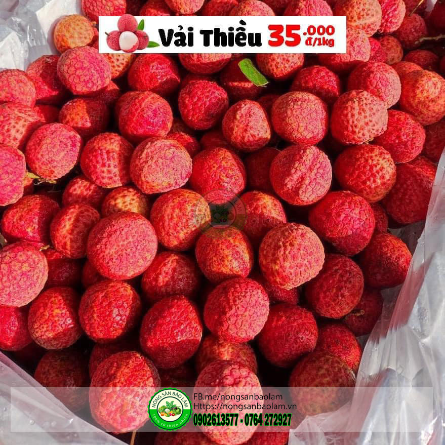 vãi thiều - trái cây quận 10 hcm - nông sản bảo lâm Nông Sản Bảo Lâm, Trái Cây Quận 10 HCM, Trái Cây Sài Gòn, Trái Cây Xanh, Trái Cây Sạch, Trái Cây Xuất Khẩu, Trái Cây Nhập Khẩu, Trái Cây Theo Mùa, Trái Cây Vườn, Nông Sản Sạch, fruits, healthy food, Hàng Tiêu Dùng, Hải Sản Tươi Sống, Nho, Dâu, Táo, Lê, Sầu Riêng, Bưởi, Thơm, Dưa Hấu, Cherry, Cá, Hàu, Thịt Heo, Thịt Gà, Thịt Bò, Mẹ, Bé