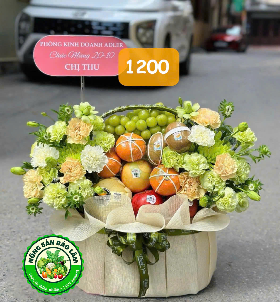 Quà Trái Cây - Giỏ Quà Có Quai 05 - Nông Sản Bảo Lâm