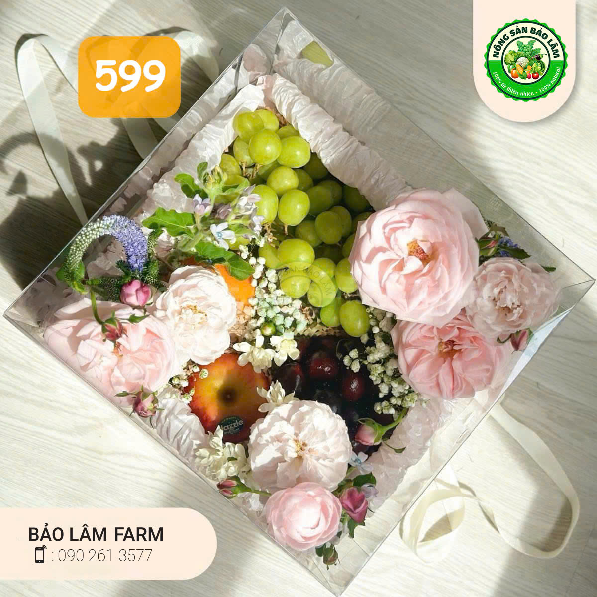Quà Trái Cây - Hộp Chữ Nhật 9 - 599- Nông Sản Bảo Lâm