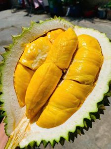 Sầu Musanking